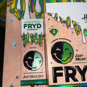 fryd juicy melon dew